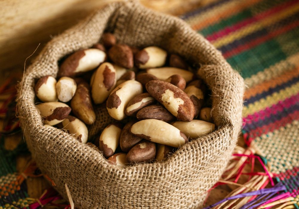 Raw Brazil Nuts Nutrition Facts Nutritional Benefits of Brazil Nuts